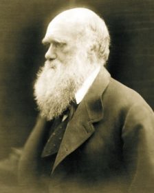 Darwin, Charles fig.1